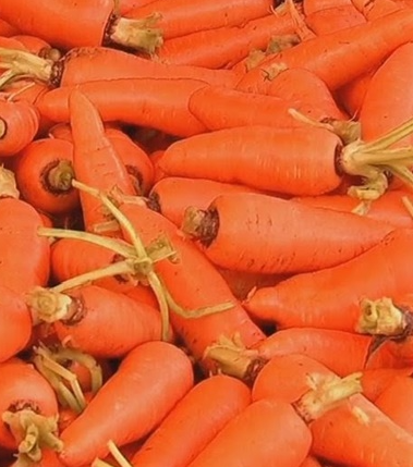 Carrots